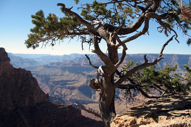 Private Grand Canyon Tour With Ancient Ruins and Lava Field From Flagstaff - Tour Requirements and Restrictions