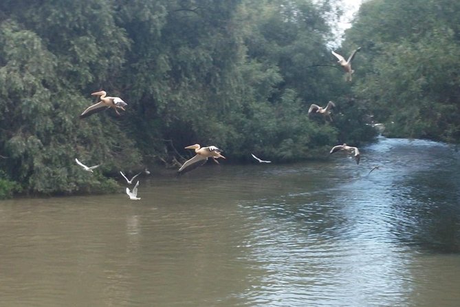**Private Group Escapes: Exclusive Danube Delta Tours** - Best Times to Visit