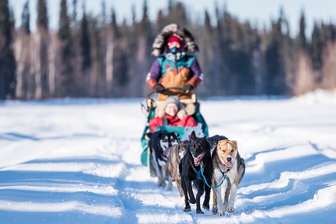 Private Guided Dog Sledding on the Historic Yukon Quest Trail - Personalized and Intimate Experience