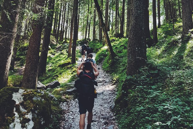 Private Guided Hiking Tour - Sequoia National Park - Exploring Sequoia National Park
