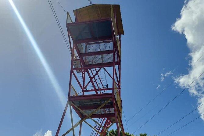 Private Guided Tour in Puerto Rico - Highlights of the Tour