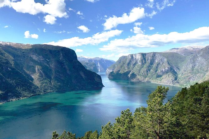 Private Guided Tour - Premium Nærøyfjord Cruise and Flåm Railway - Discovering Bergen
