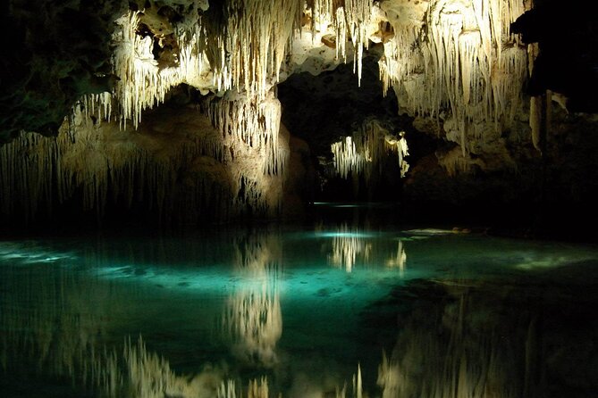 Private Guided Tour To Tulum Ruins, Snorkel With Turtles & Tacos - Reviews and Ratings