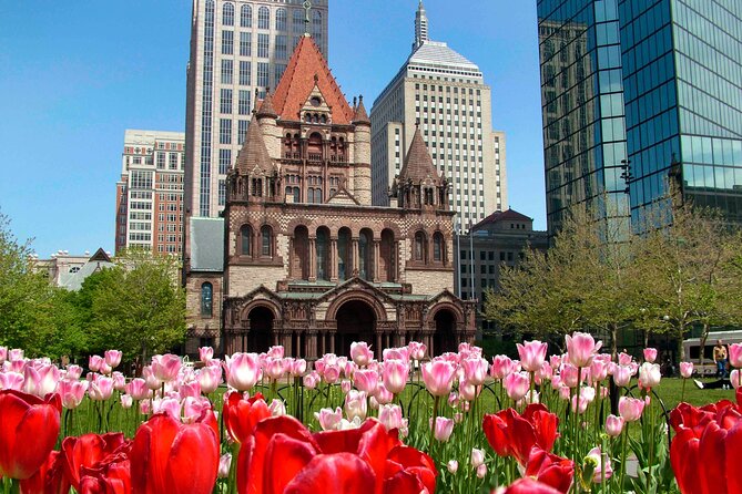 Private Half-Day Driving Tour of Boston and Cambridge - Discovering the Charm of Cambridge