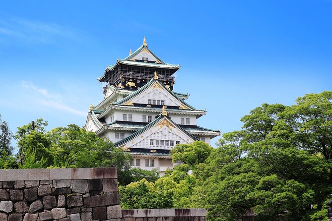 Private Half-Day Tour in Osaka by Taxi and Rickshaw - Payment and Reservations