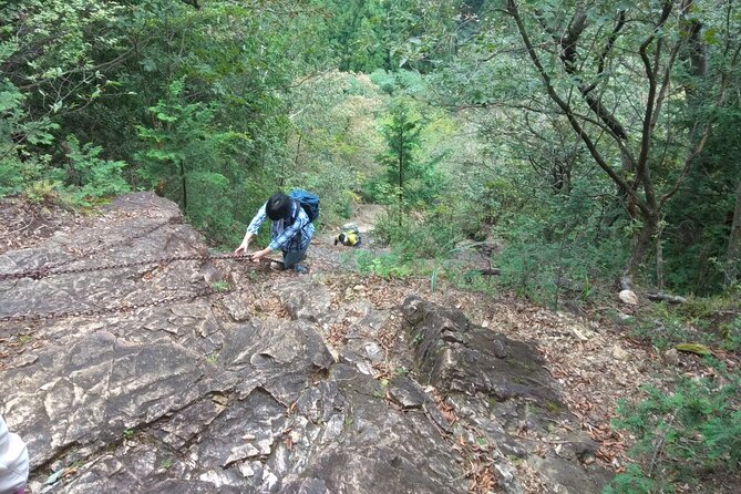 Private Hiking Activity Near Tokyo - What to Expect on the Hike