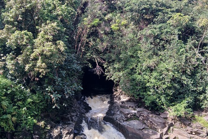 Private Hilo Shore Excursion Review - Tour Duration and Timing