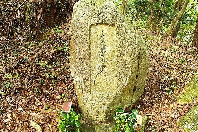 Private Historic Road Hike in the Healing Forest of Arima - Tour Highlights and Experiences