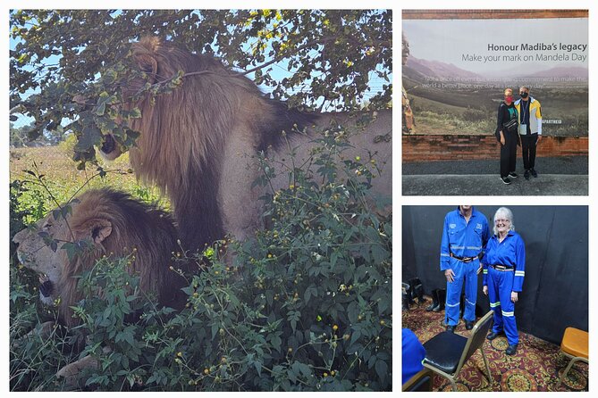 Private Johannesburg and Pretoria Tour - Tips for a Great Experience