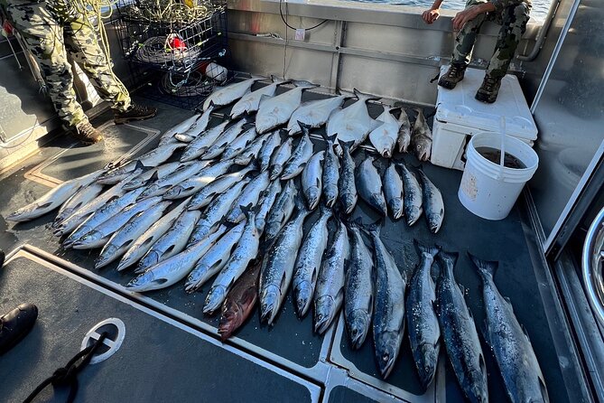 Private Ketchikan Halibut and Salmon Fishing Charter - Areas for Improvement and Suggested Enhancements