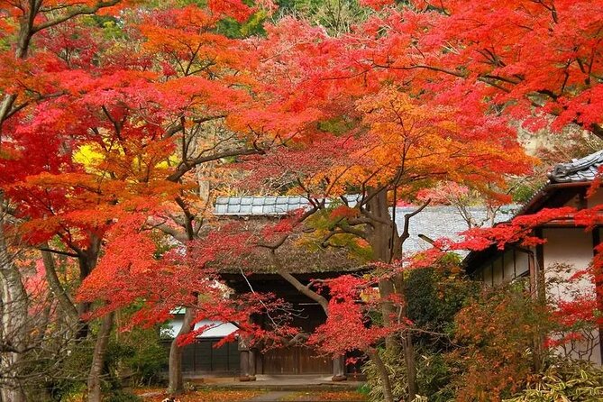 Private Kimono Photo Shooting Tour in Ancient City Kamakura - Photo Editing and Delivery