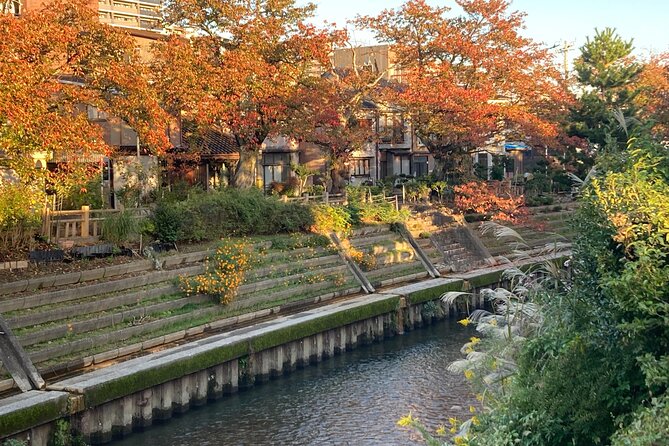 Private Kimono Stroll in Toyama City Possibly With a Shiba Inu - Private Tour and Booking Options