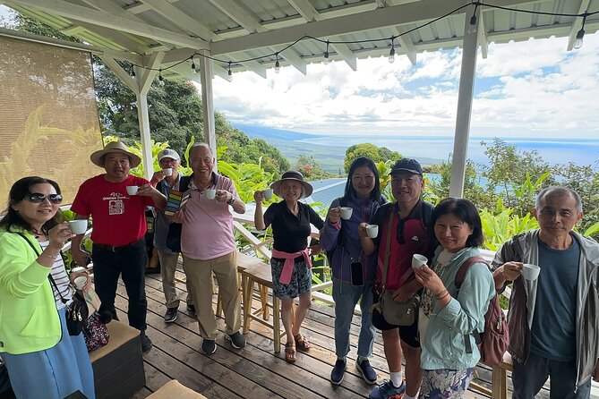 Private Kona Cruise Ship Excursion Kona up to 14 People - Explore the Big Island
