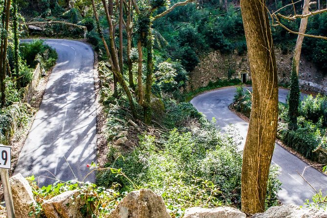 Private Lisbon Family Tour - Magic,Simple and Fun - Tips for Families