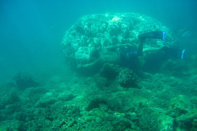 Private Los Cabos Snorkeling Tour to Chileno Bay and Santa Maria Cove - Booking Information