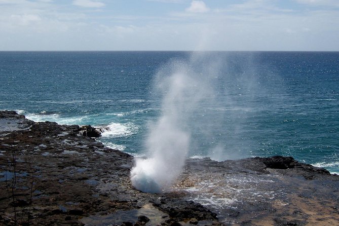 Private Luxury Tour of Kauai: South & West Shores - Discovering Kauais West Shore