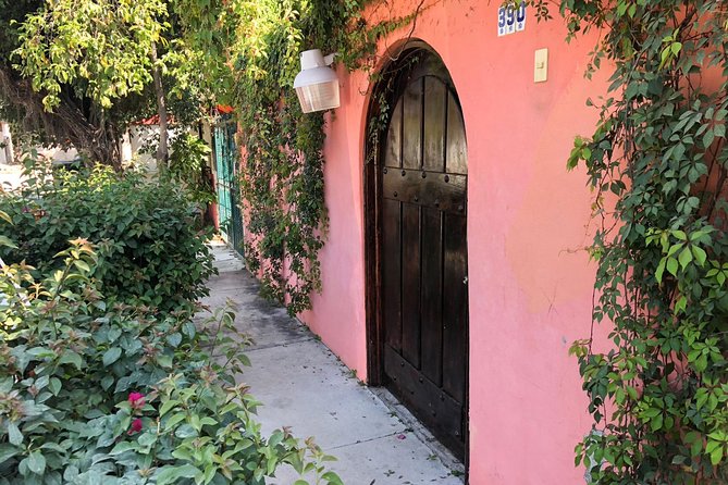 Private Market Tour and Cooking Class With Helene, a Local in Puerto Vallarta - Local Market Insights