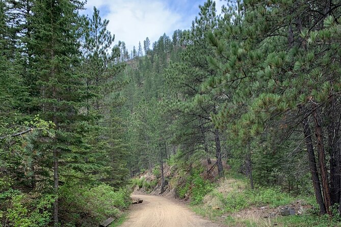 Private Mickelson Trail Bicycling Tour - Discover the Mickelson Trail
