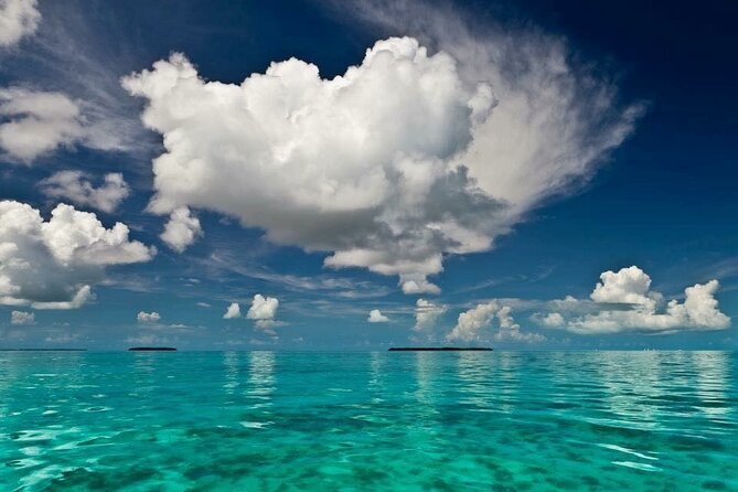 Private Morning Tiki Boat Eco Cruise in Key West - Cancellation Policy