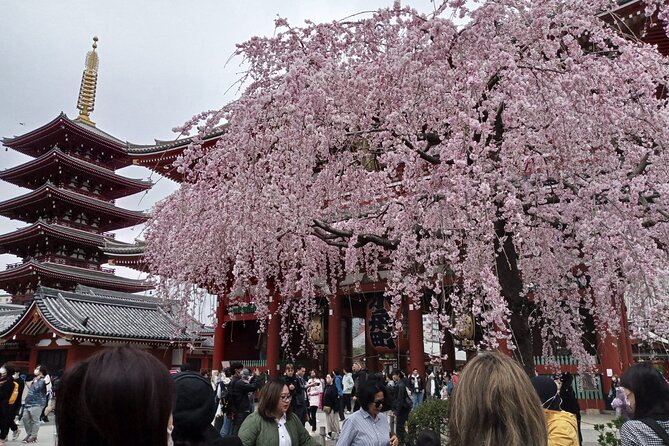 Private Mount Fuji Tour by Premium Car - Itinerary