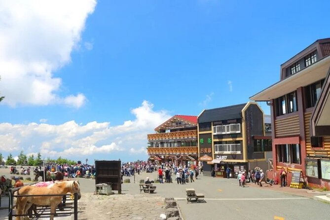 Private Mt Fuji and Hakone Day Tour From Tokyo - Inclusions and Exclusions