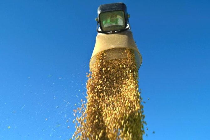 Private Rice Agriculture Experience in Mie - Highlights of the Rice Agriculture Activity
