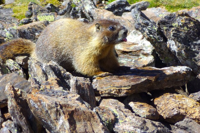Private Rocky Mountain National Park Tour Review - Highlights of the Tour