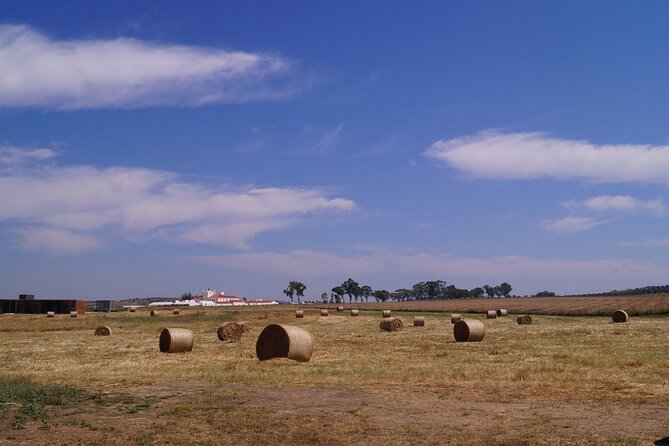 Private Romans & Ruins Full Day Tour From Evora by Archaeologists - Booking and Payment Options
