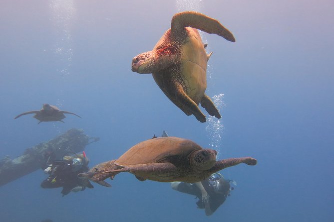 Private Scuba Diving in Lahaina - Age, Fitness, and Safety Requirements