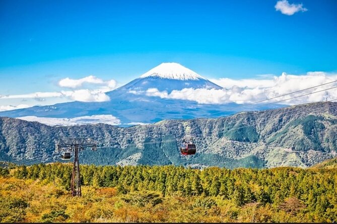 Private Sightseeing Full Day to Mt Fuji and Hakone - Highlights of the Tour
