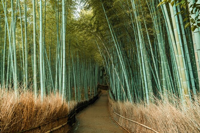 Private Sightseeing Tour Visit in Kyoto With Transfer Included - Getting the Most Out of Your Experience