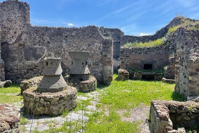 Private Skip The Line Archeo Tour Of Pompeii - Inclusions and Additional Details