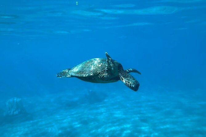 Private Snorkel With Beach Set-Up - Frequently Asked Questions