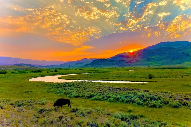Private Sunrise Wildlife Adventure Review - Highlights and Memorable Moments