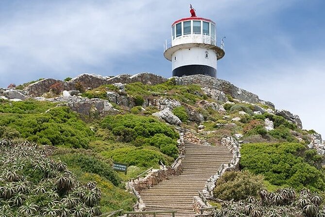 Private: Table Mountain, Cape Point and Penguin Colony - Booking and Pickup Information