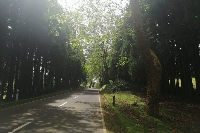 Private Terceira Island Half Day Bus Tour - Scenic Highlights