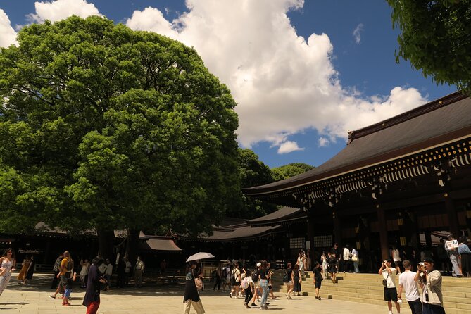 Private Tokyo Tour by Subway W/Licensed English-Speaking Guide - Desire for More Exploration Time