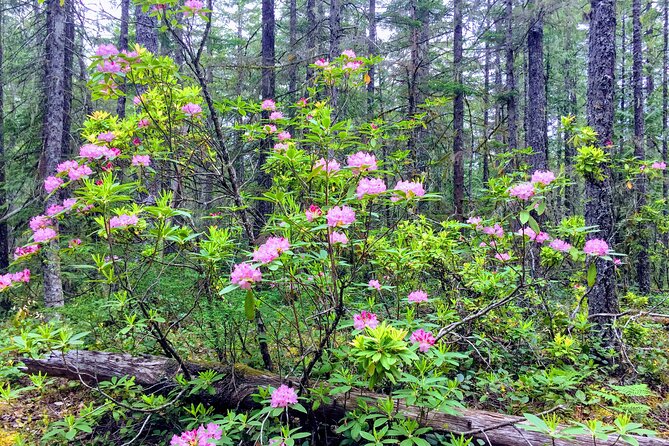 Private Tour at The Hood-Columbia Loop: Timberline, Orchards, and Waterfalls - Experiencing the Local Fruit Stands and Orchards