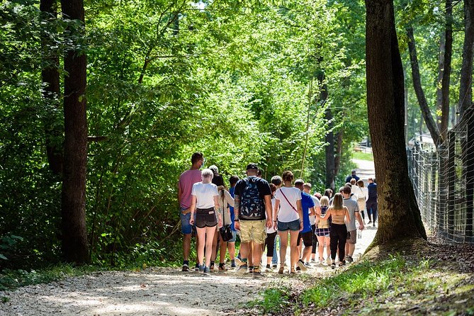 Private Tour Bear Sanctuary & City of Brasov One Day Trip - Tickets Included - Traveler Experiences and Reviews