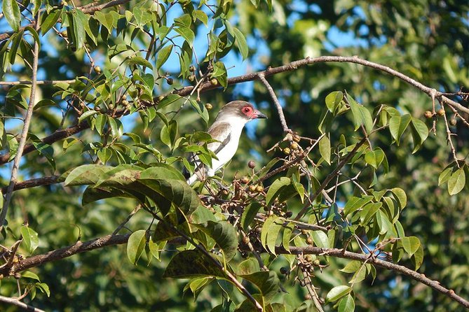 Private Tour: Birdwatching Playa Del Carmen - Booking Process