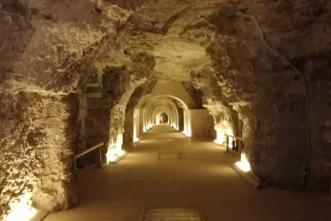Private Tour From Saqqara Pyramids to Serapeum Saqqara Egypt - Customer Reviews and Feedback