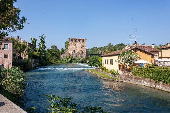 Private Tour From Verona: Mantua, Valeggio Sul Mincio & Sirmione - Accessibility Features