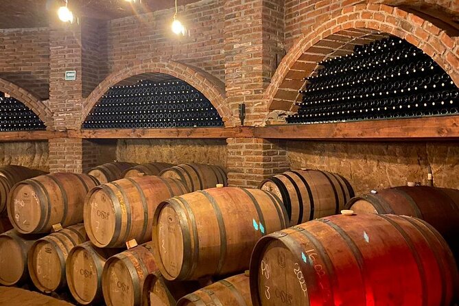Private Tour in Guadalupe Valley, Vine Yards & Wine Route ENS MX - Reviews and Ratings