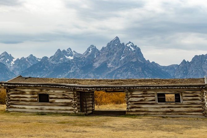 Private Tour of Grand Teton National Park - Wildlife Sightings