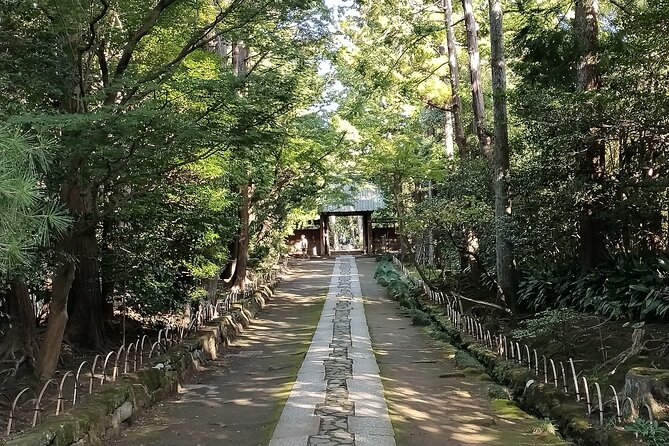 Private Tour of North Kamakura Temples With Licensed Guide - What to Expect on the Tour