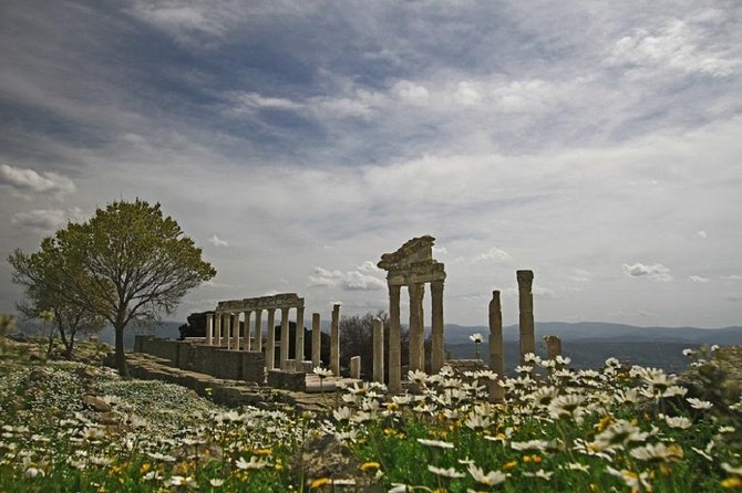 Private Tour: Pergamum and Asklepion - Customer Review Insights