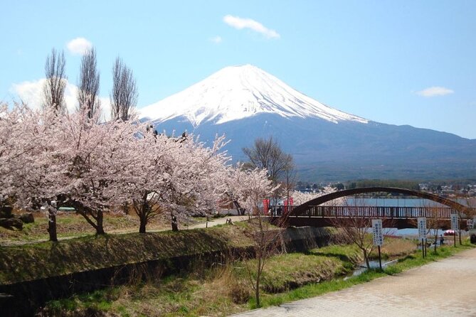 Private Tour to Mount Fuji With an English Driver From Tokyo - Discovering Lake Kawaguchi