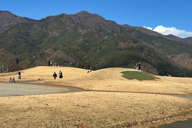 Private Tour to Mt Fuji and Hakone With English Speaking Driver - Itinerary