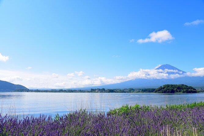 Private Tour to Mt Fuji, Lake Kawaguchi With Limousine and Driver - Discovering Lake Kawaguchi