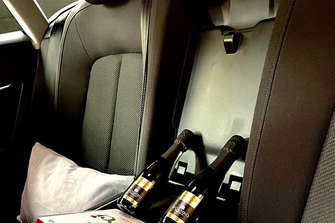Private Transfer From Ljubljana Airport to Ljubljana City or Back - Transfer Service Availability and Pickup